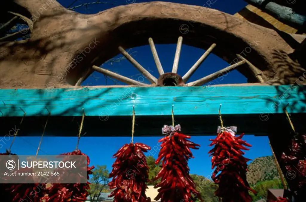 Dried chilies suspended from a gate, Chile Ristras, New Mexico, USA