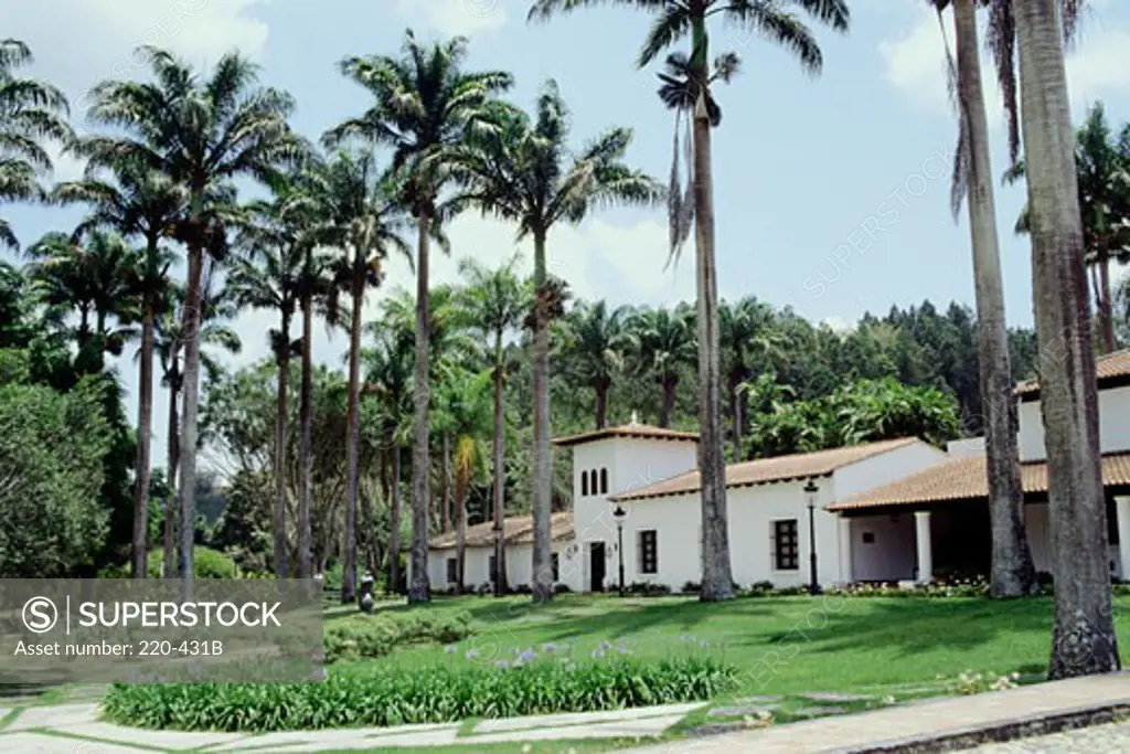 Building surrounded by trees, Rectory House, Simon Bolivar University, Caracas, Venezuela