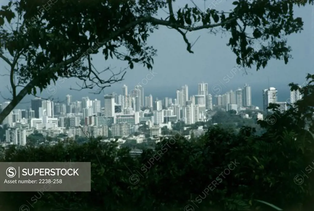 High angle view of skyscrapers in a city, Panama City, Panama