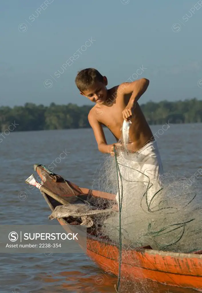 Boy removing mapara catfish from gillnet, Campupema, Para, Brazil