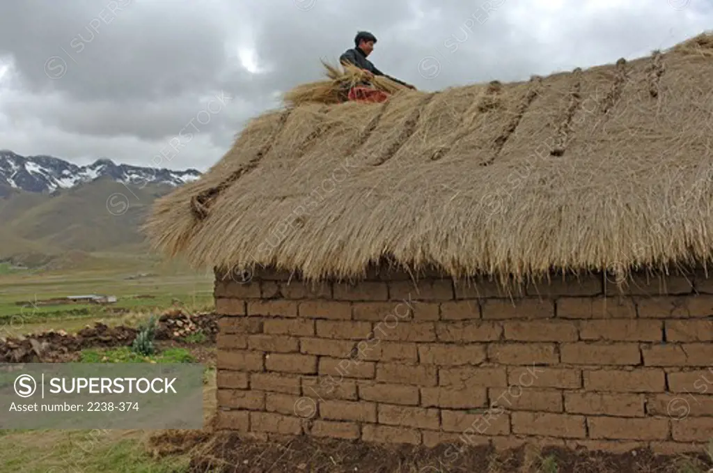 Thatching adobe farm house with ichu grass, Machu Picchu, Cusco Region, Peru