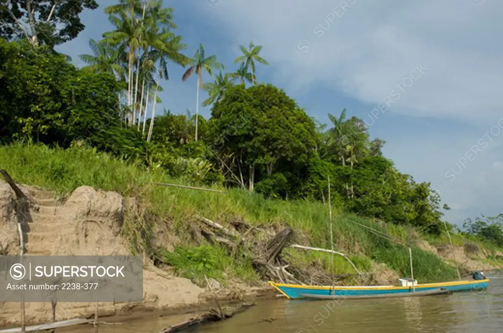 Boat at a port, Amazonas, Brazil
