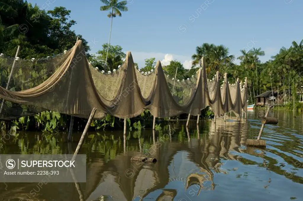 Fishing nets drying at the riverside, Igarape Samauma, Amazonas, Brazil