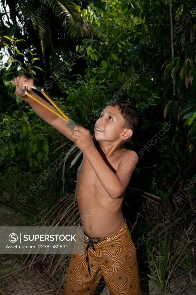 Mailson, 8 years old, using a slingshot (baladeira) to bring down some bacabinha (Oenocarpus mapora) fruits in his home garden. He is using the endocarps (carocos) of the palm for ammunition. Home of Maias dos Santos Benaja. Urubu River near Caretas, Amazonas, Brazil, 10-16-12