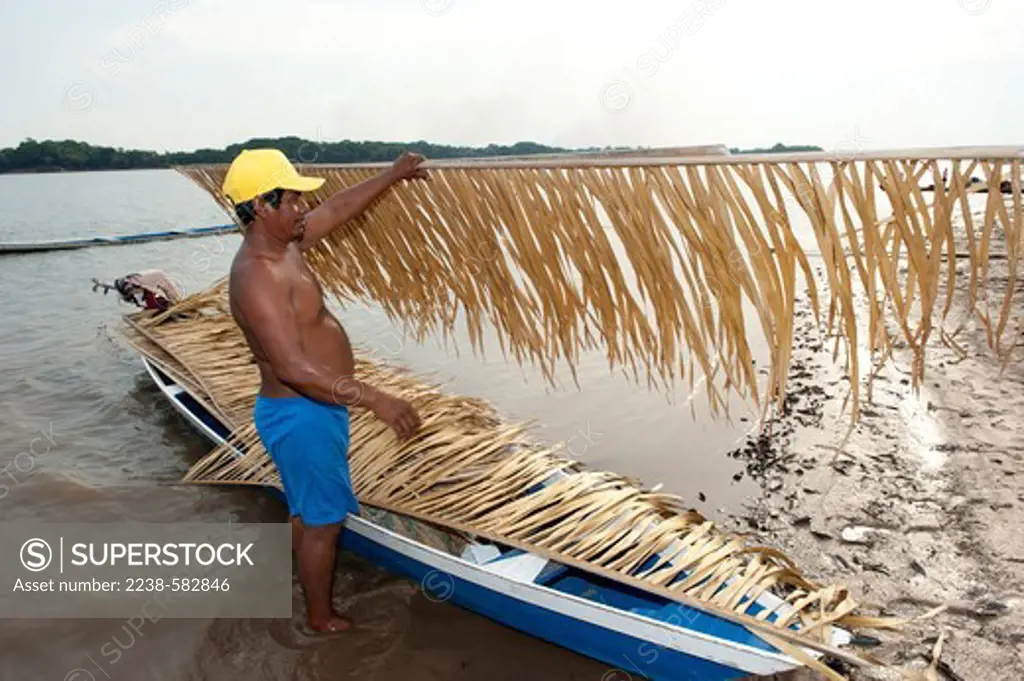 Canoe covered with fronds of palha branca (Attalea speciosa) to prevent the paint from blistering and the wood from cracking and warping in the sunlight. Sangaua, Urubu River, Amazonas, Brazil, 10-18-12