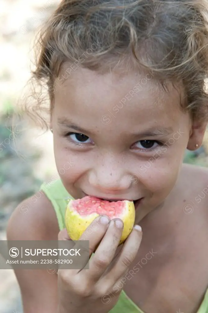 Guava (Psidium guajava) fruit. Nilsiane, 5 yrs, is eating the fruit she has just gathered in a home garden. Restinga on the floodplain (varea) of the Solimores River. Porto Valente, lower Tefe River, a few km downstream from Tefe, Amazonas, Brazil, 8-22-12
