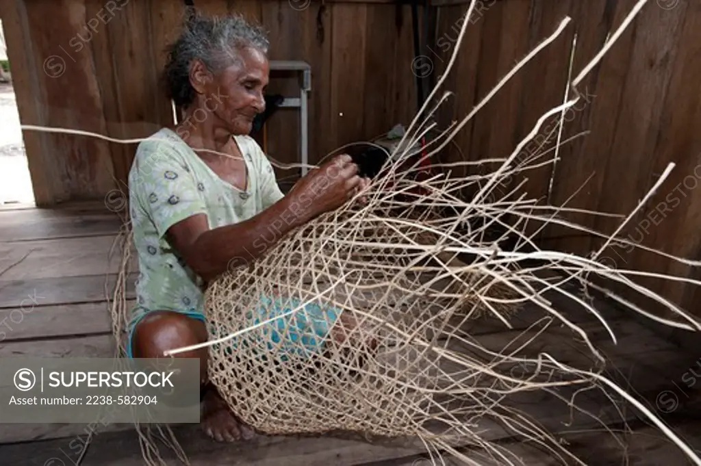 Weaving a basket with cipó imbé (Philodendron imbe, Araceae), a forest vine. Maria de Fatima, 78 years, in her house. Itapiranema, Lago de Tefe, Amazonas, Brazil, 8-25-12