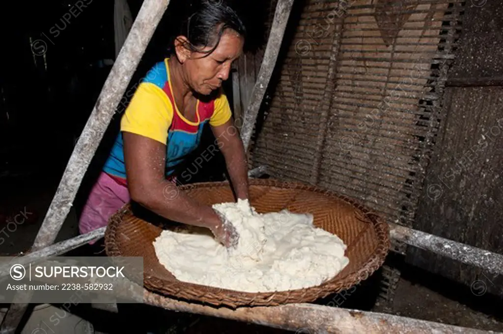 Cumata sieve for extracting starch (tapioca) from grated manioc. Frame for holding the cumata is called veado. The wooden slat (uatapi in Tukano) at front by the woman's body is made from paxiuba (Socratea exorrhiza).Tuyuka woman, Tereza Lima Azevedo, 48 yrs. Sao Pedro, Rio Tiquie, Amazonas, Brazil, 11-8-12