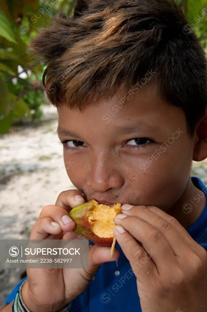 Boy, Marleson, 12 yrs, eating cashew (Anacardium occidentale) fruit in his home garden in a village on an archaeological site with Amazonian Dark Earth (ADE) on a terrace overlooking the floodplain of the Tefe River. Tauari, Tefe River, Amazonas, Brazil, 9-11-12