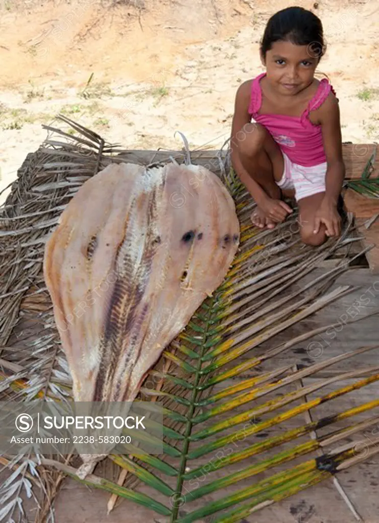 Pirarucu (Arapaima gigas) drying on fronds of caiaue (Elaeis oleifera). The leaves were cut from a palm in the home garden (at left). Erivane, 7 yrs, daughter of Dona Maria, 33 yrs. Boa Esperanca, Lago Amana, Amazonas, Brazil, 9-20-12