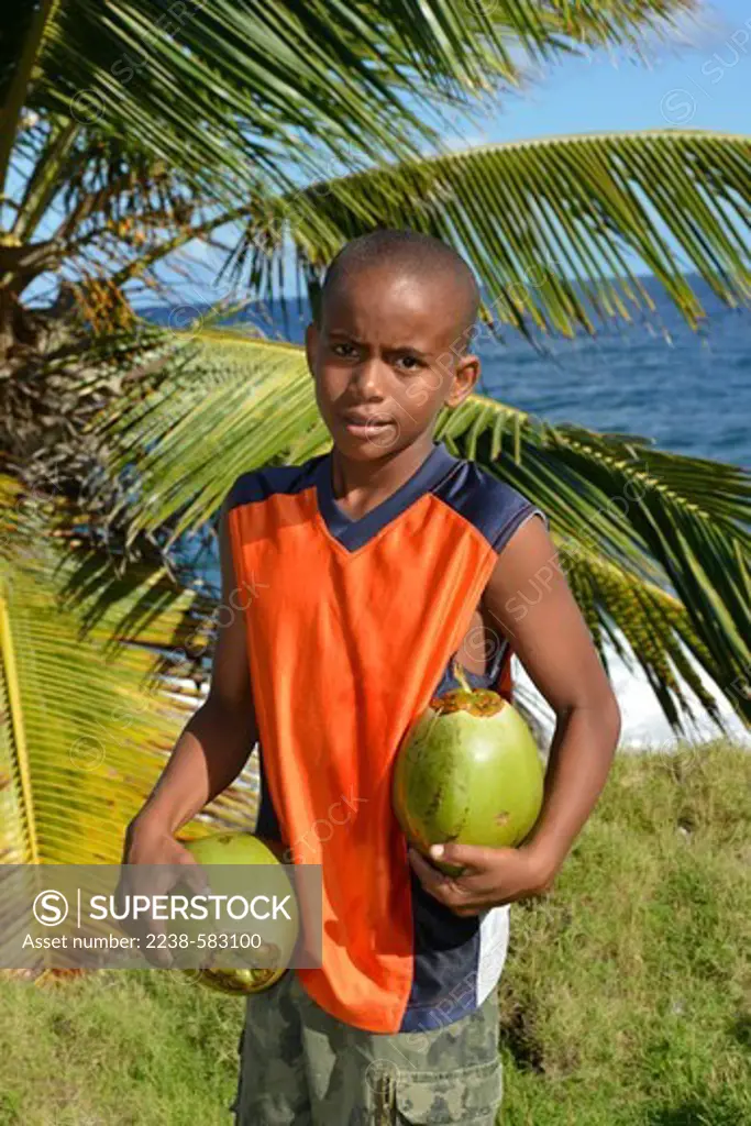 Coconut (Cocos nucifera), Sam 12 yrs has climbed the palm on the right to gather the coconuts. Sam is a mix of Kalinago (Carib) and African ancestry. Pointe Mulatre, Dominica 12-19-12