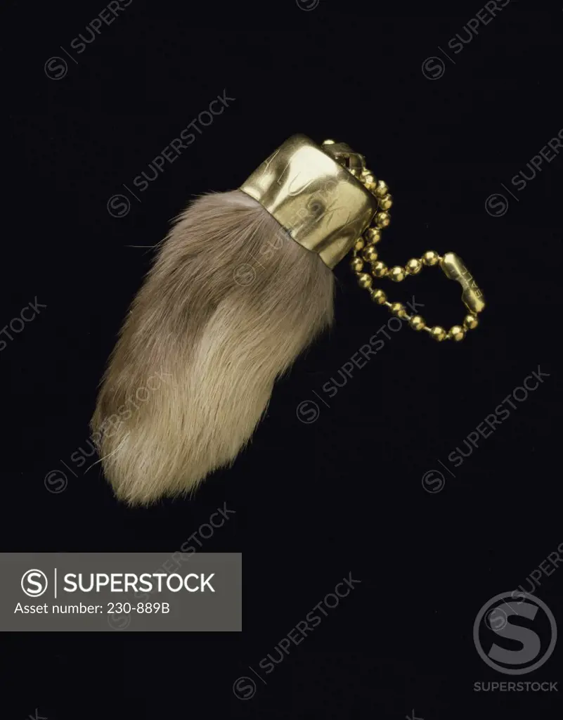 Close-up of a lucky rabbit's foot