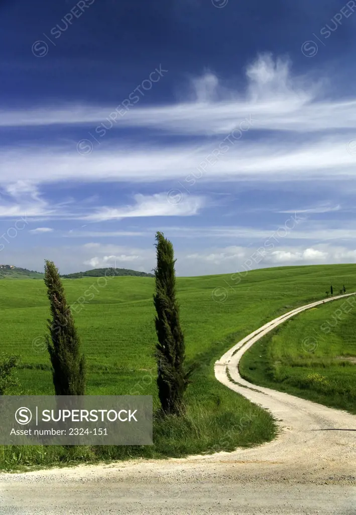 Dirt road passing through a landscape, Tuscany, Italy