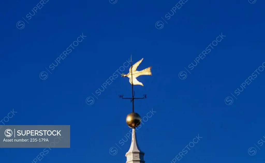 High section view of a weather vane