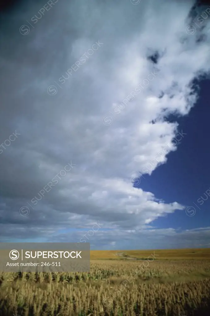 Clouds over millet fields, Nebraska, USA