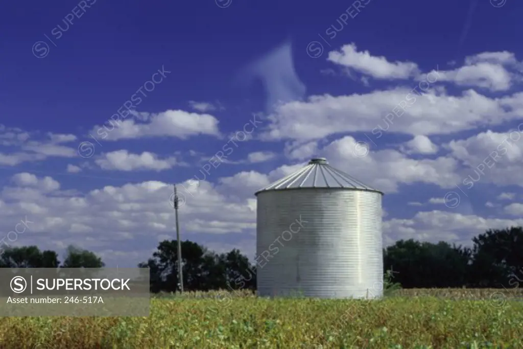 Soy Field Gage County Nebraska USA