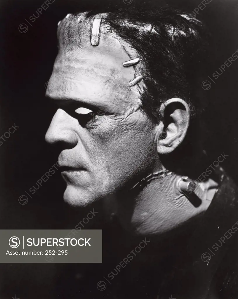 Boris Karloff  The Bride of Frankenstein  1931      