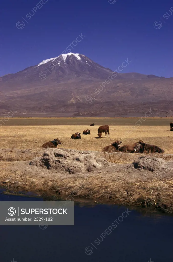 Mount AraratEastern Turkey