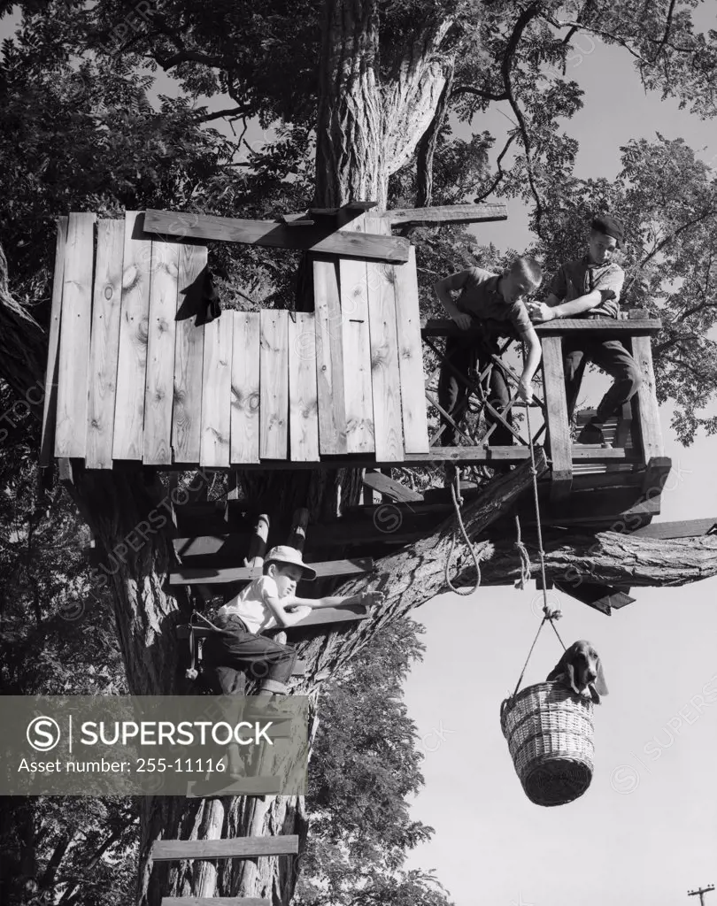 Low angle view of three children playing in a tree house