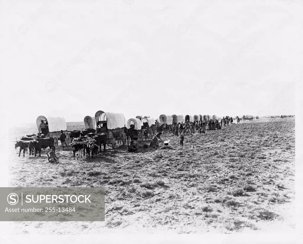 Settlers in covered wagons moving out west