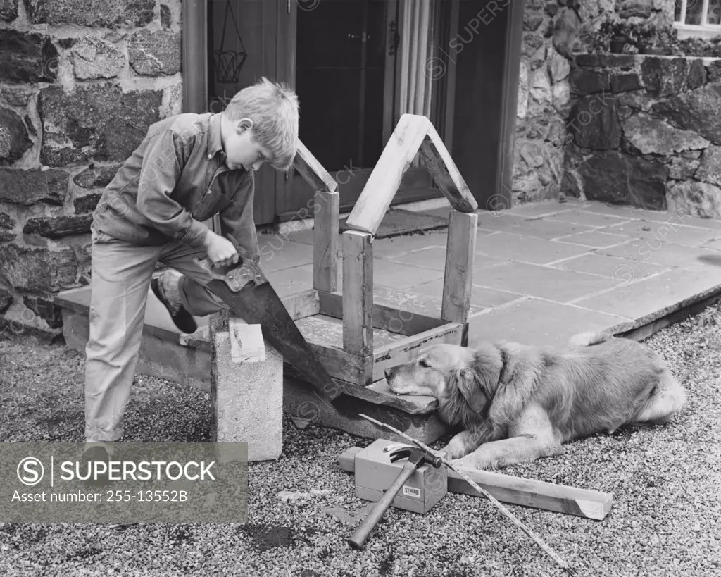 Boy building his dog a dog house