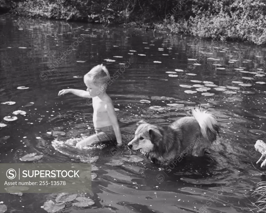 Side profile of a boy wading with his dog in a pond