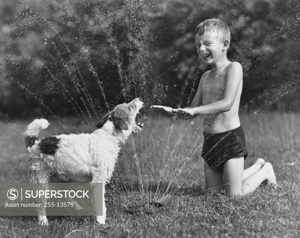 Boy playing with his dog under water sprinkler
