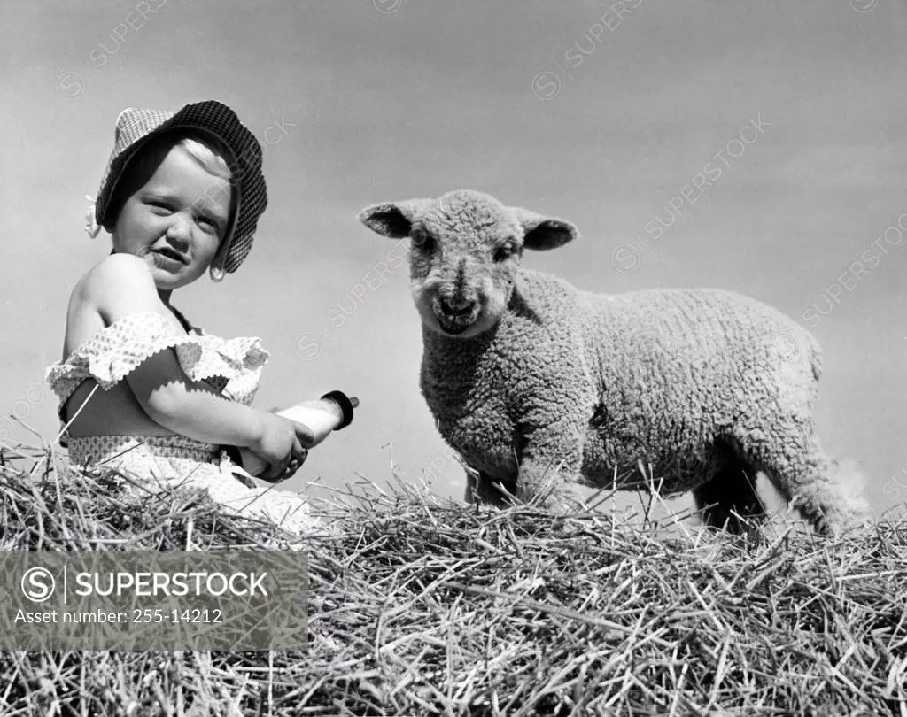 Portrait of girl sitting beside sheep on hay