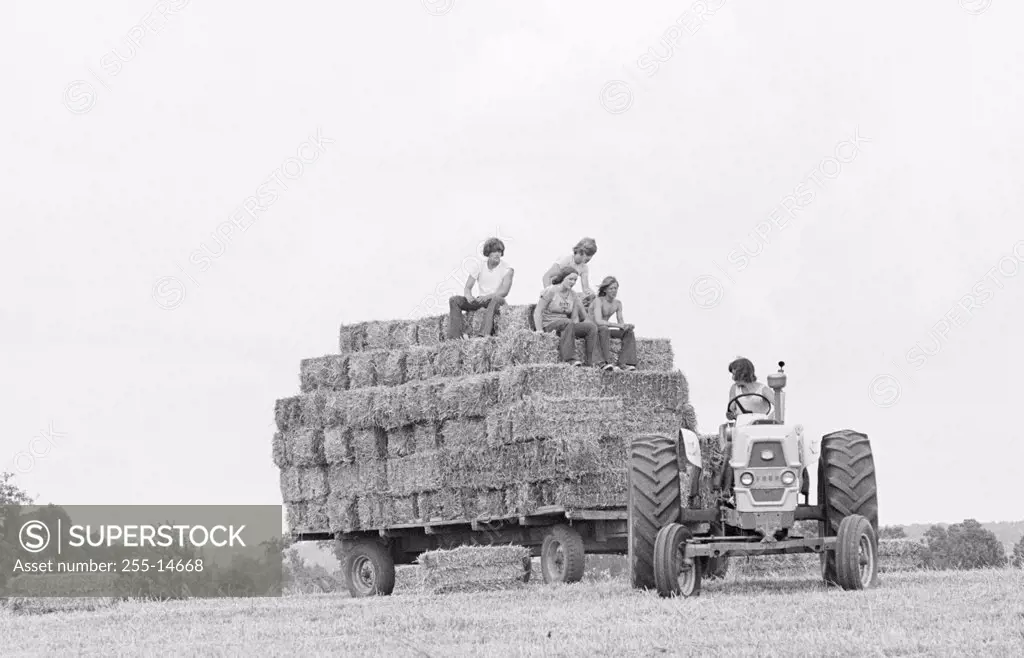 Farmers on haystacks being pulled by a tractor