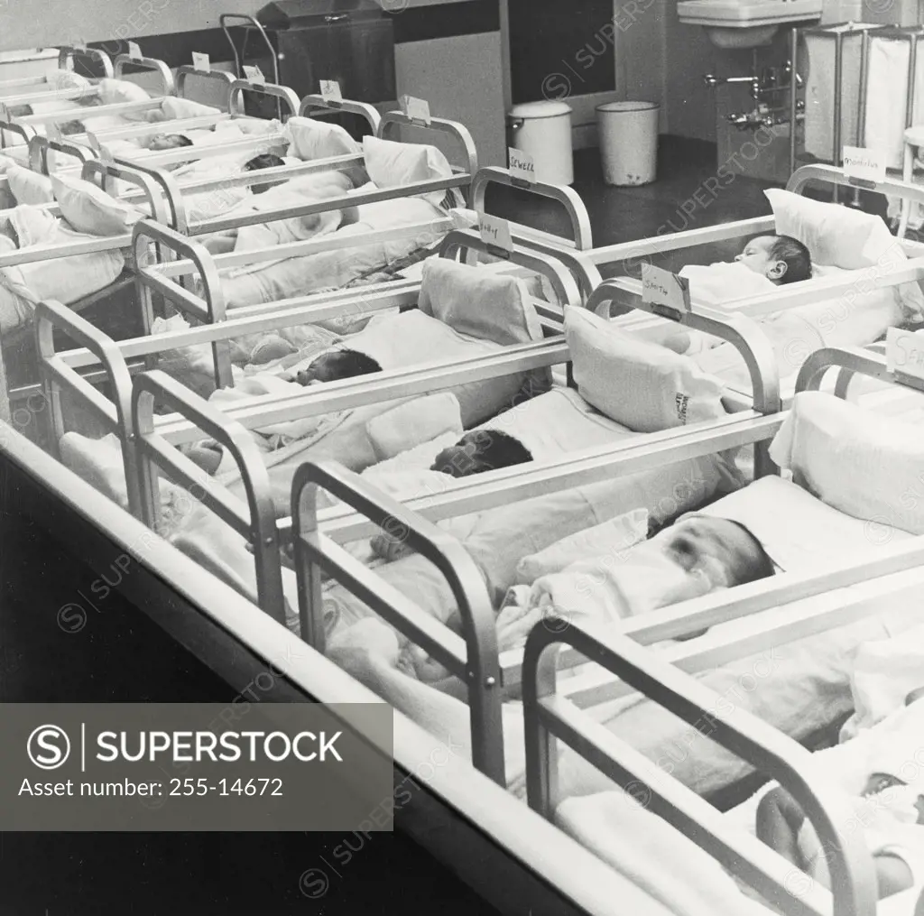 Vintage photograph. High angle view of newborn babies in hospital nursery