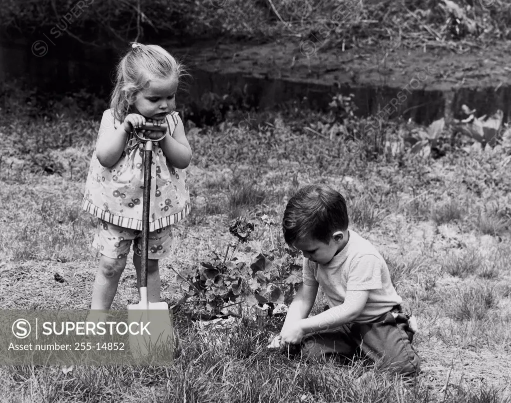 Boy planting a plant in a lawn with a girl standing beside him