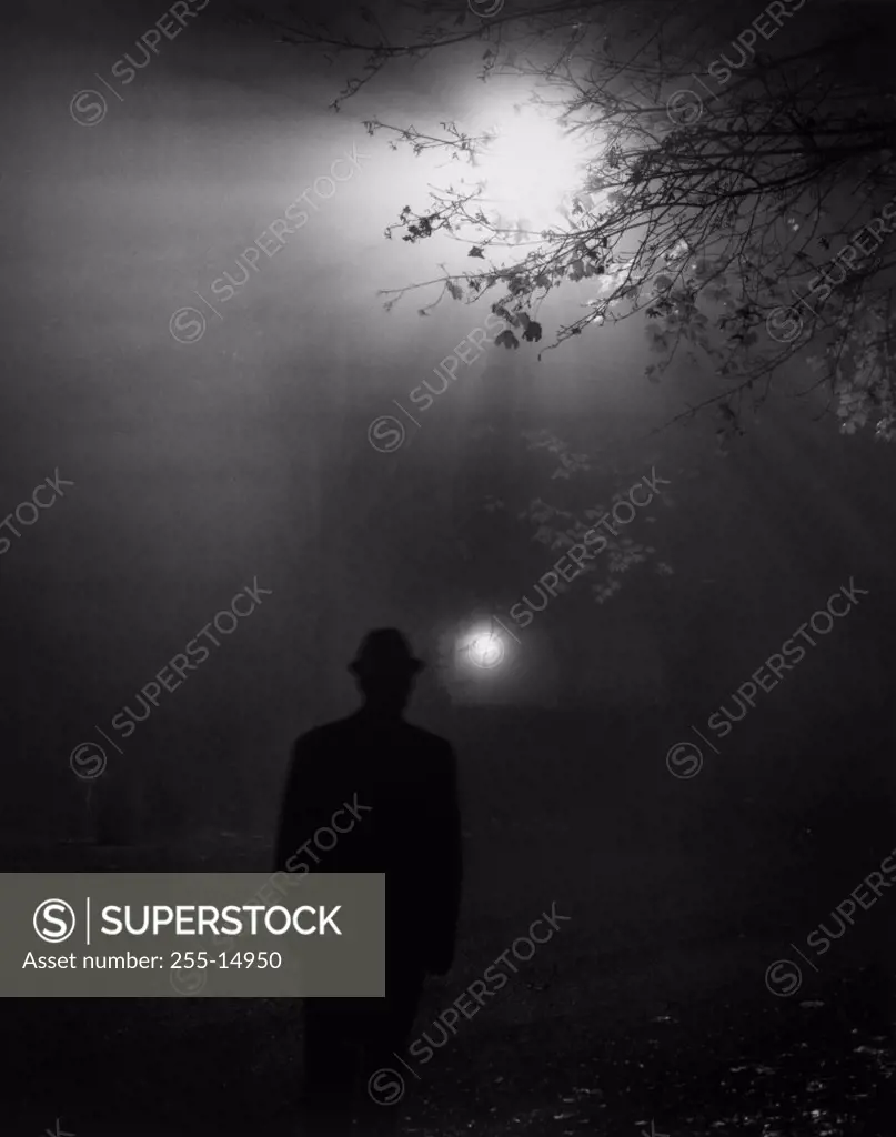 Silhouette of a man standing
