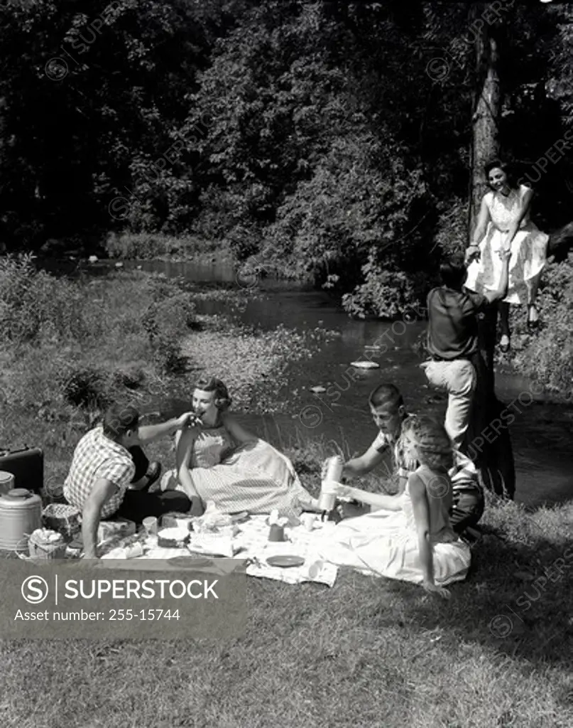 Young people having picnic on river bank