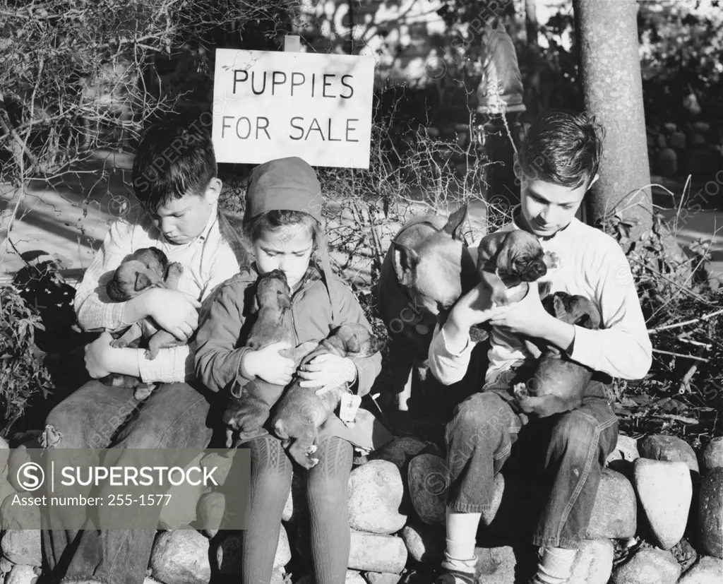 Three children with puppies on their laps
