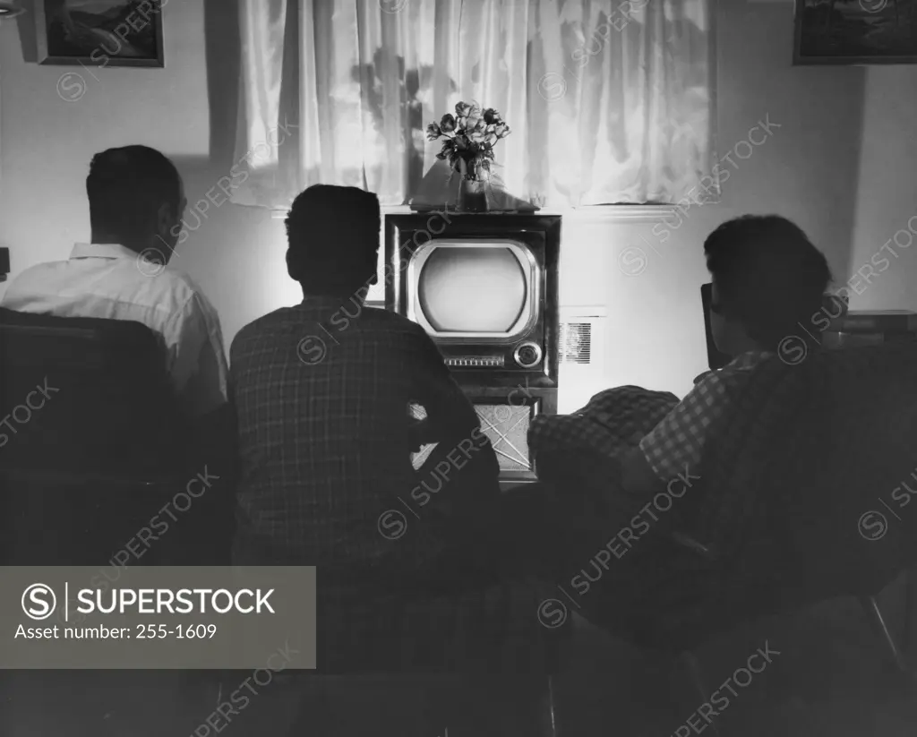 Rear view of parents with their son sitting in front of a television