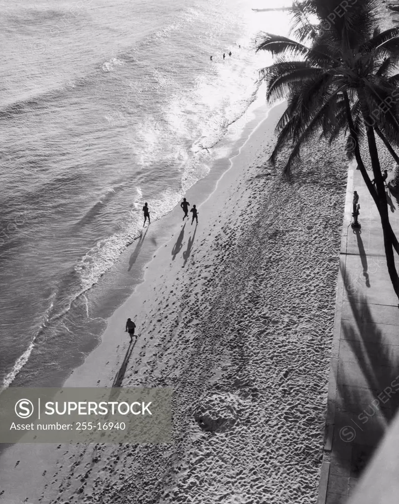 High angle view of a group of people jogging on the beach, Waikiki Beach, Honolulu, Oahu, Hawaii, USA