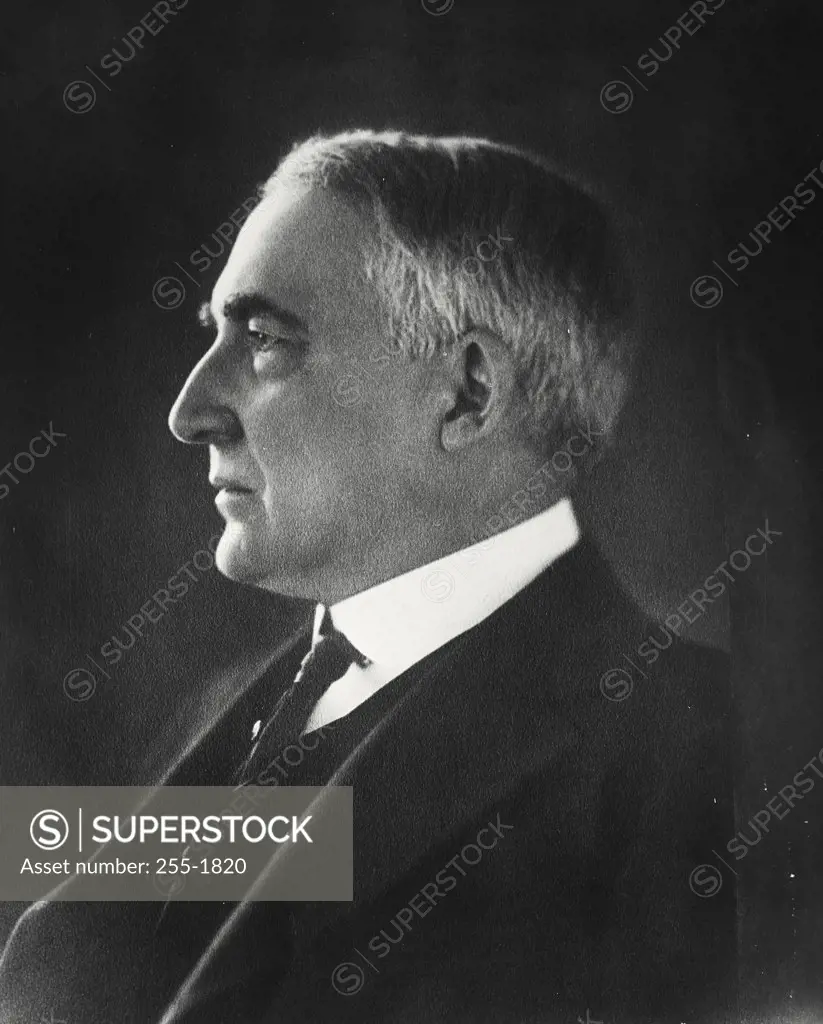 Vintage photograph. Warren Harding, (1865-1923), 29th President of the United States