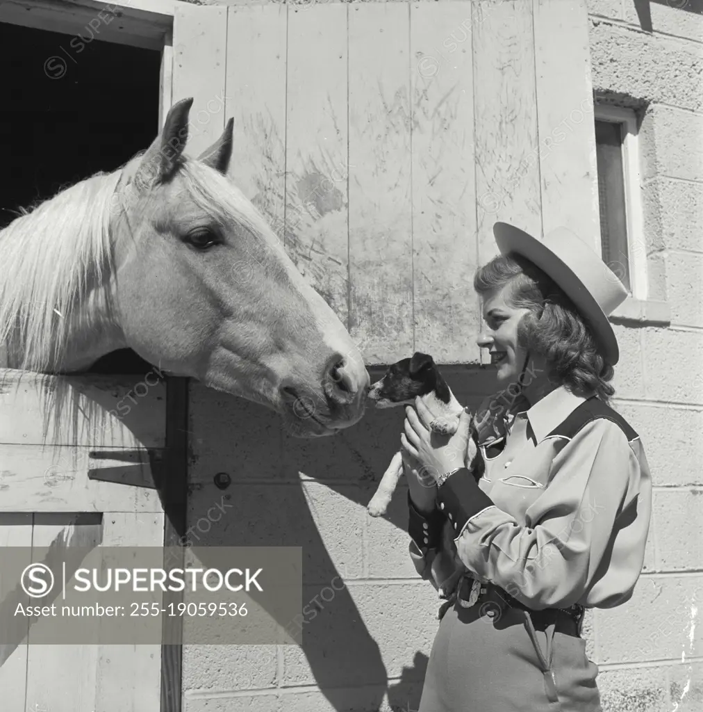 Vintage photograph. Woman holding puppy up to horse sticking head out of stable so they can touch noses