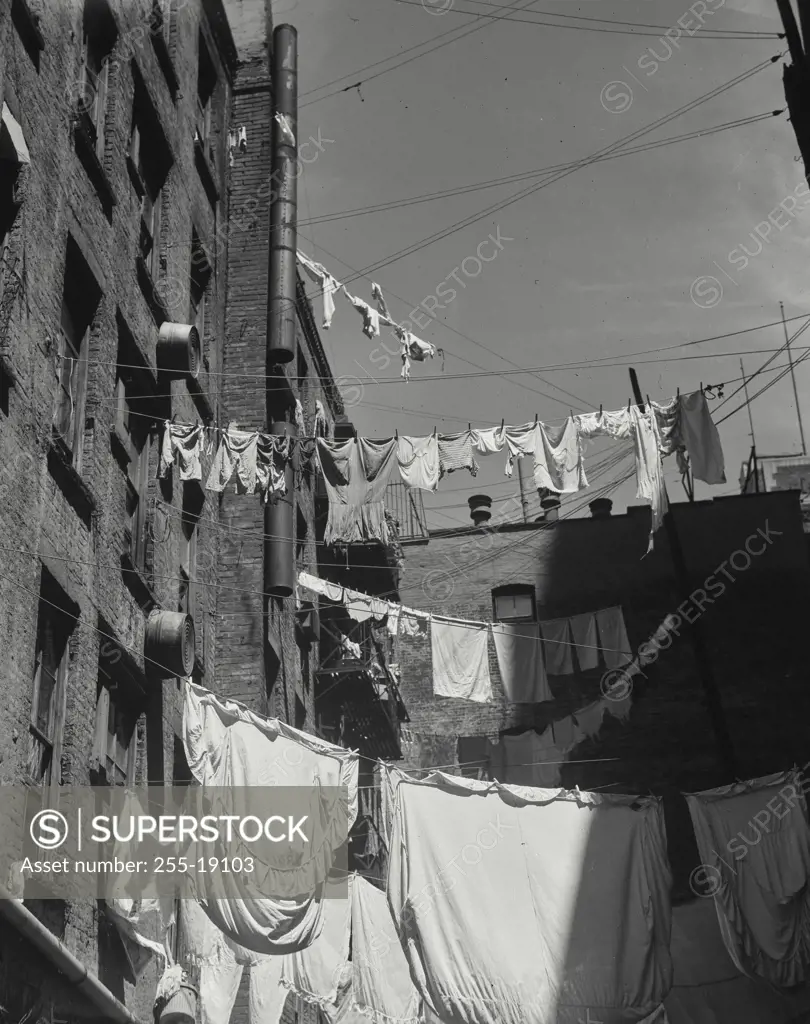 Vintage Photograph. Low angle view of clothes hanging on clotheslines