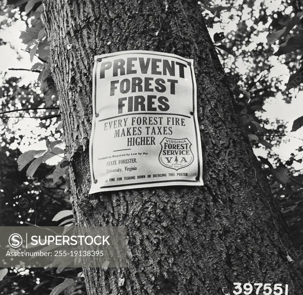 Vintage photograph. A state of Virginia prevent forest fires sign posted on a tree on route 60 between Covington and Clifton Forge Jefferson national Forest, Virginia