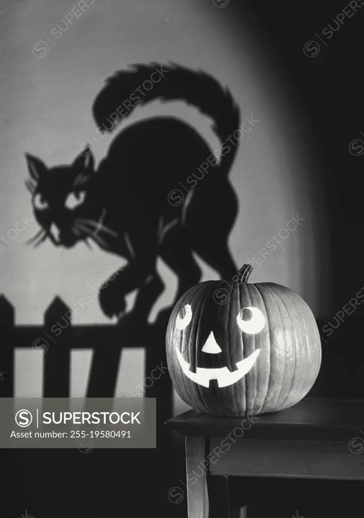 Vintage photograph. Jack o' Lantern with shadow of cat on fence