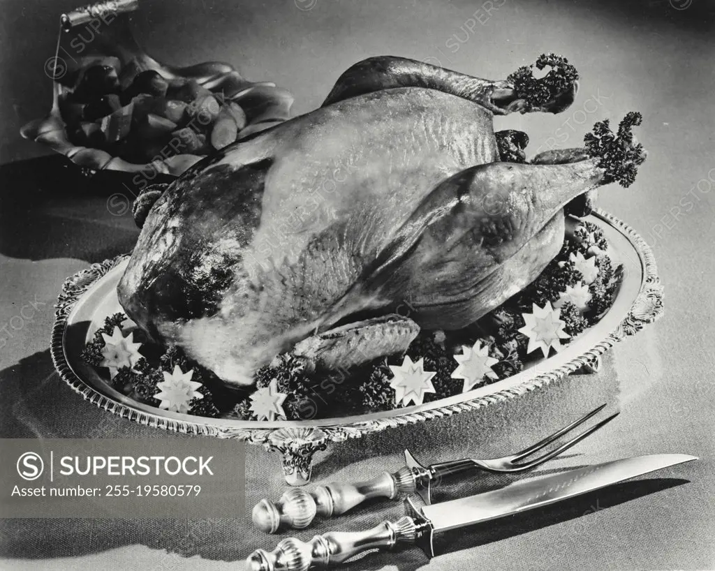 Vintage photograph. Turkey and well and tree platter ready for carpet