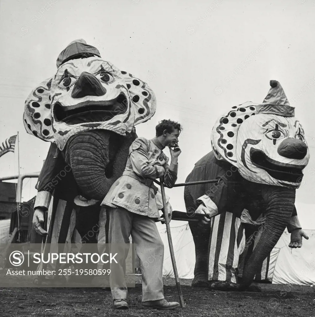 Vintage photograph. Bull elephants wearing clown heads for grand parade