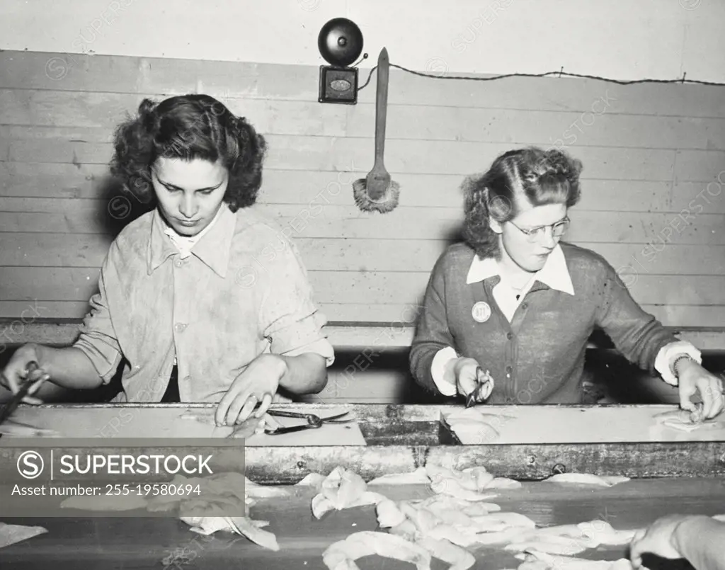Vintage photograph. Fillet candling line and inspection, General Seafoods Division, Rockland, Maine