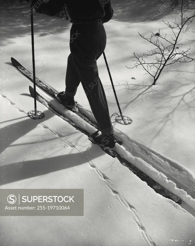Vintage photograph. Persons legs on skis and bird tracks in snow