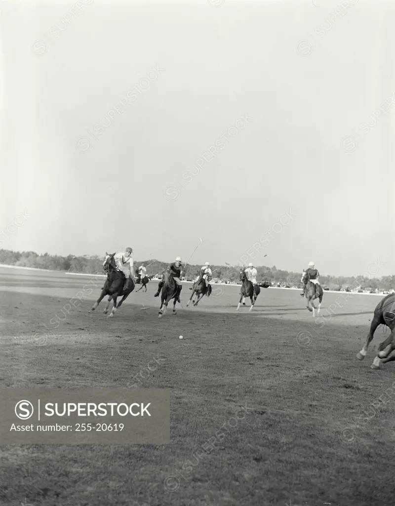 Vintage photograph. Group of men riding horses playing polo.