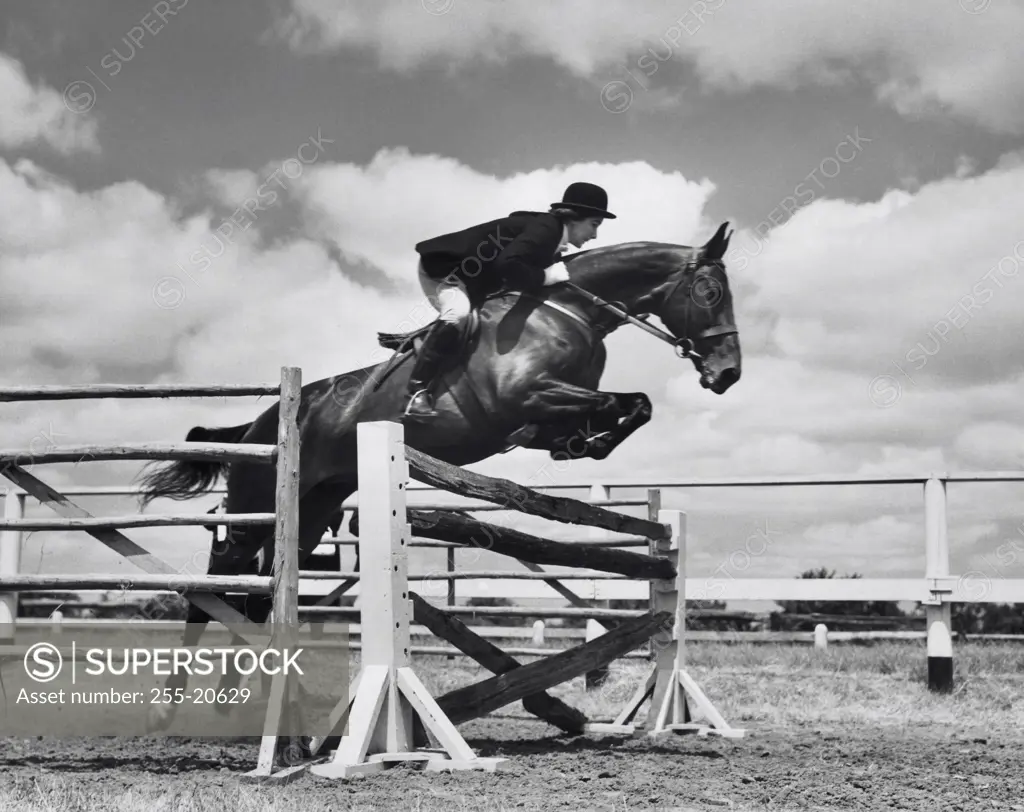 Female equestrian and a horse jumping over a hurdle