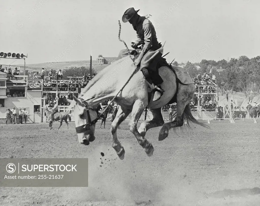Vintage photograph. Saddle bronco riding at Pendleton, Oregon