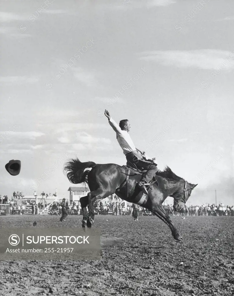 Cowboy riding bucking horse in rodeo