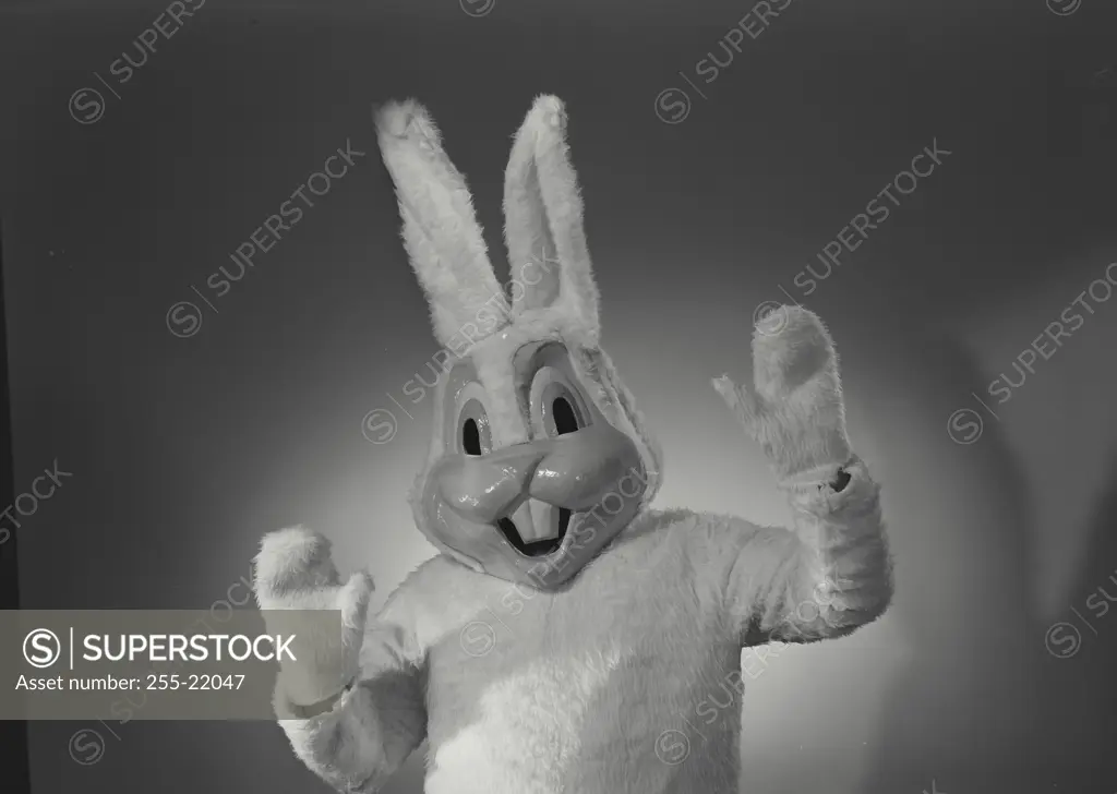 Vintage Photograph. Person in bunny suit with their hands up